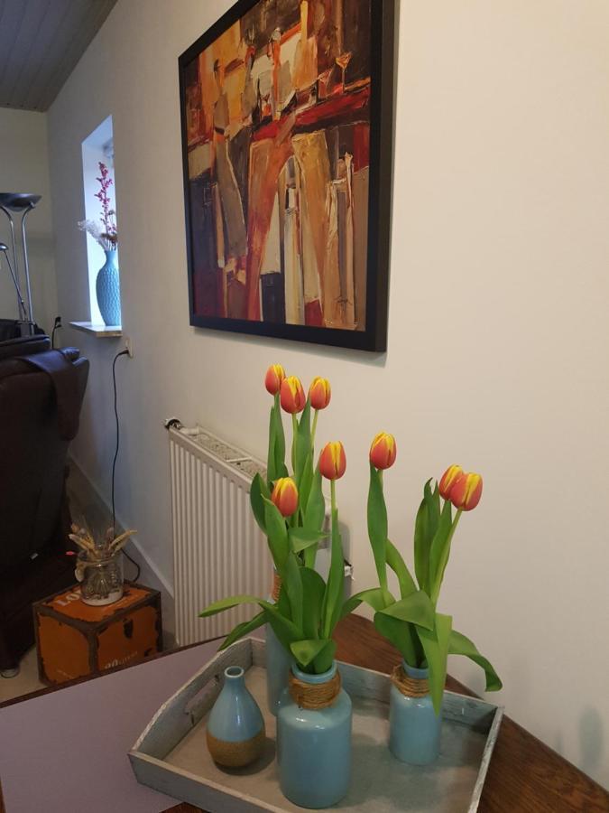 Op Ut Schoor Apartment Sint-Oedenrode Екстериор снимка